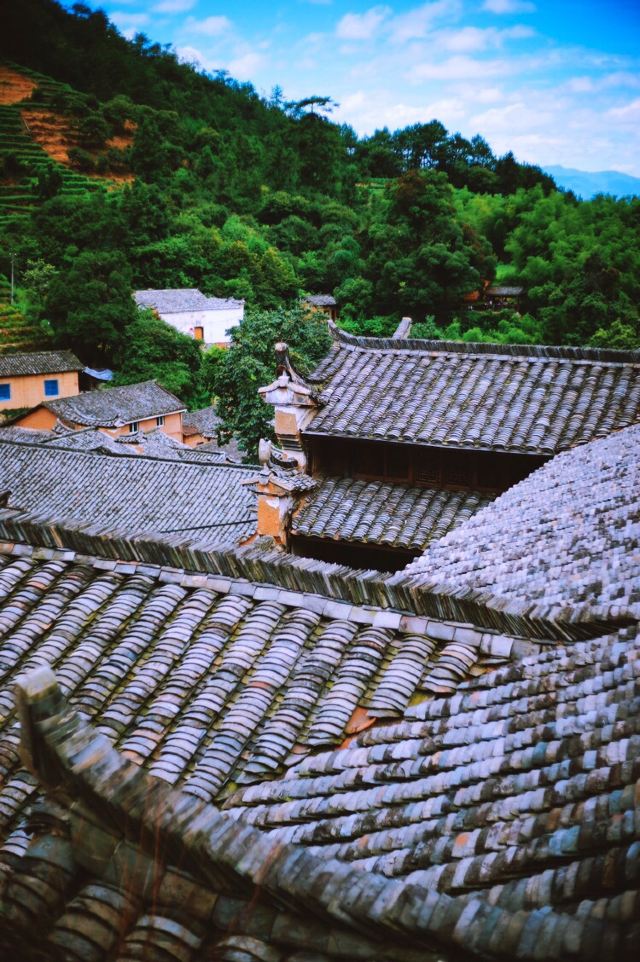 楊家堂村
