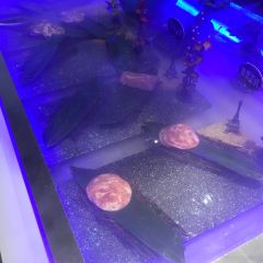 圣罗巴海鲜烤肉自助(女人街店) User Photo