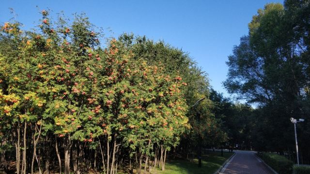 大島植物園