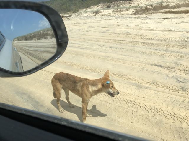 Fraser Island