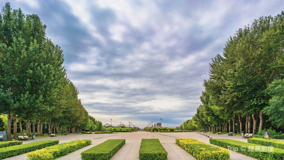 จตุรัสไทม์คิง