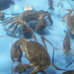 Mission Hills Resort Haikou·Yaoyueting Seafood Restaurant 여행 사진