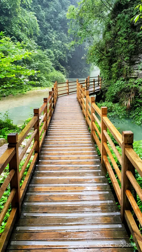 5_Golden Whip Stream