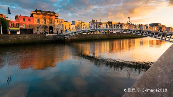 Тринити-колледж в Дублине + Собор Святого Патрика + Национальный музей естественной истории Ирландии