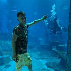 Atlantis sanya Saffron buffet restaurant User Photo