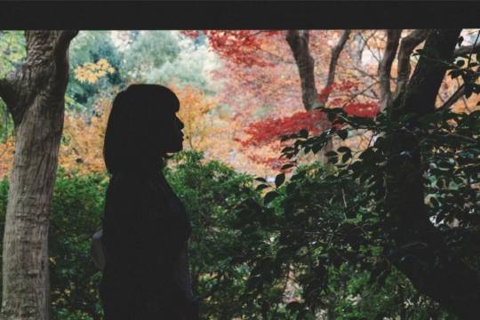 Japan+Osaka+Kyoto+Osaka Castle Park one-day tour