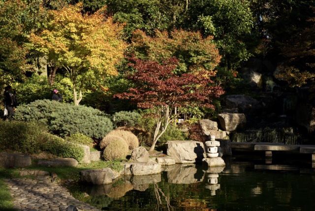 Kyoto Garden