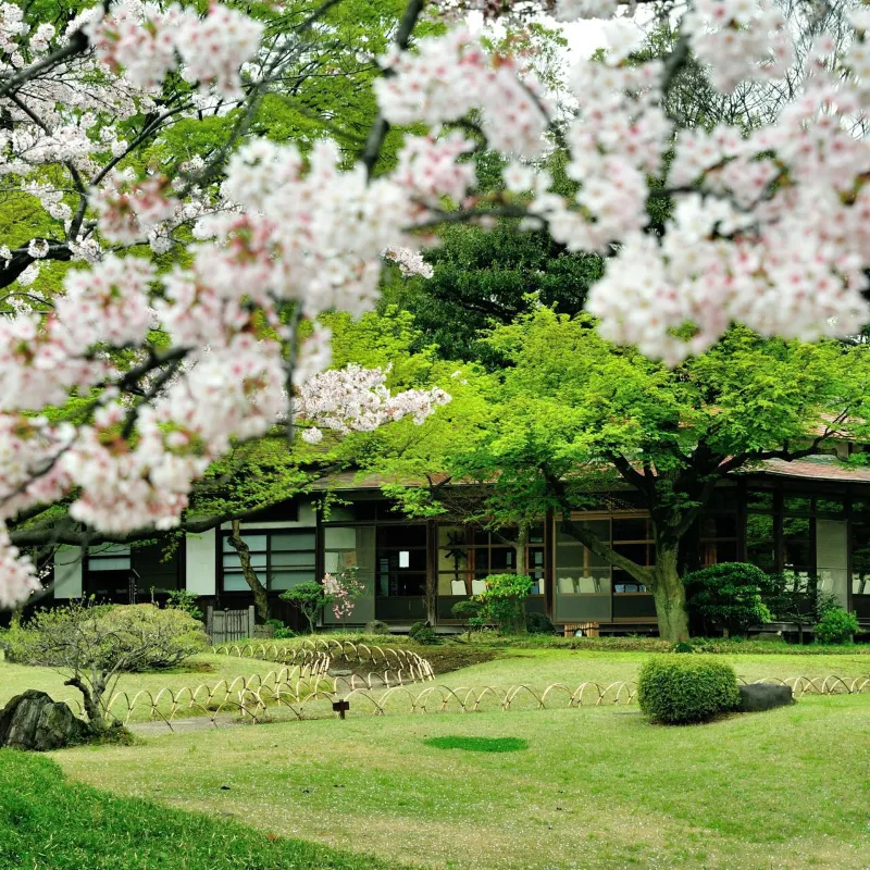 小石川后樂園