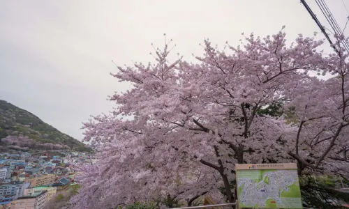 감천문화마을