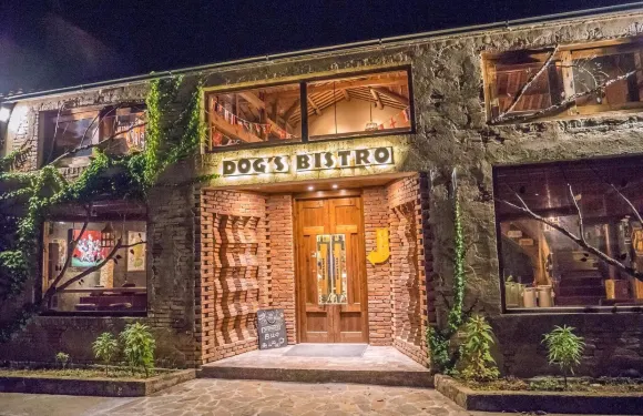 DOG'S BISTRO(黟縣店)