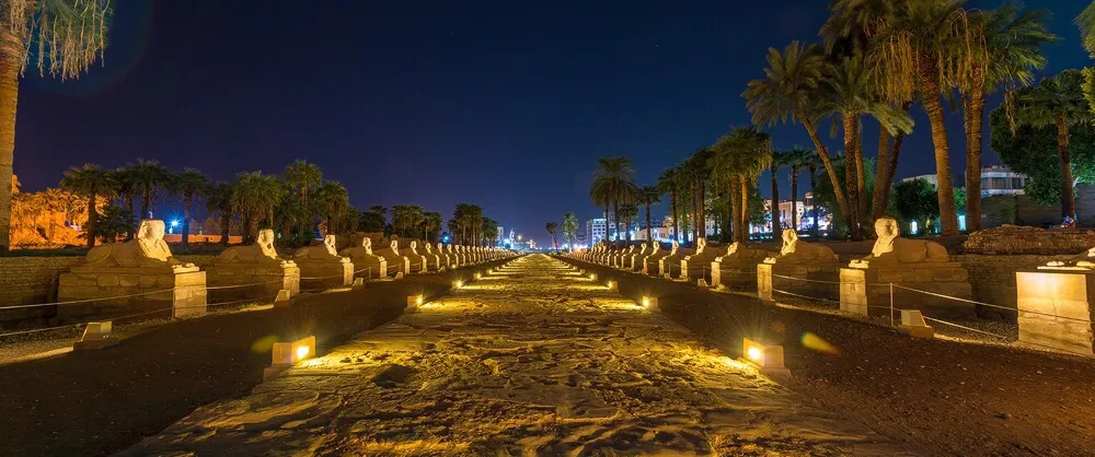 Night Attractions