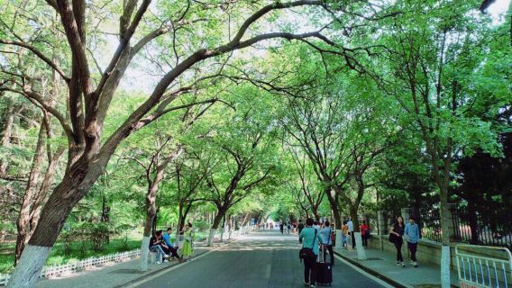 QingdaoTours