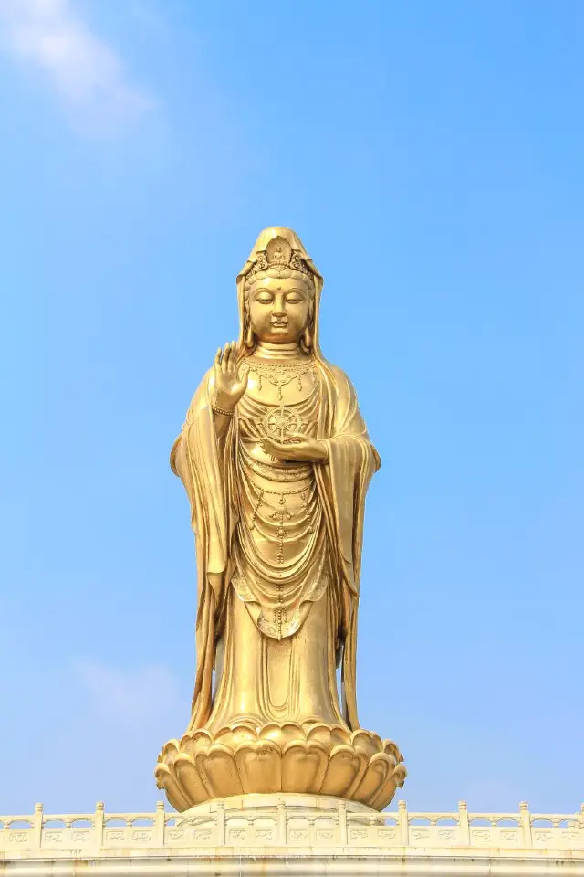 Zhoushan Buddhist Culture Experience