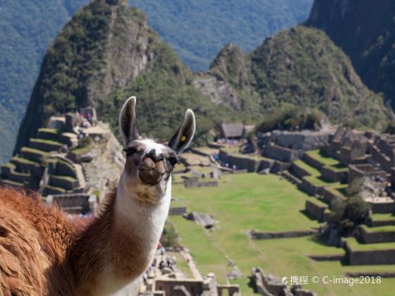 Inca City of Machu Picchu