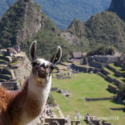 スカイ航空・ペルーのタクナ行き航空券