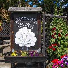 Tarras Country Coffee Shop User Photo