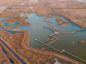 Yellow River Mouth Eco-Tourism Area