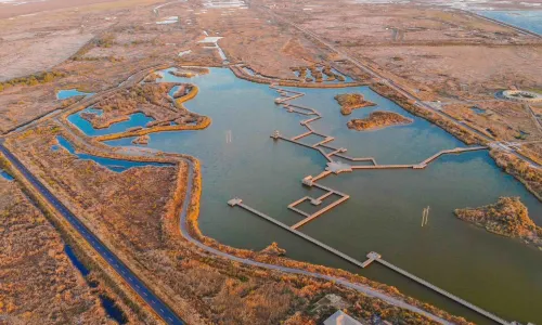 Yellow River Mouth Eco-Tourism Area