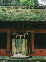 戸隠神社 中社