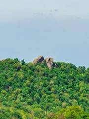 산시 국립 삼림공원