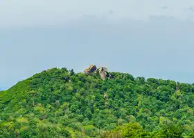 Три каменных Национальных лесных парка