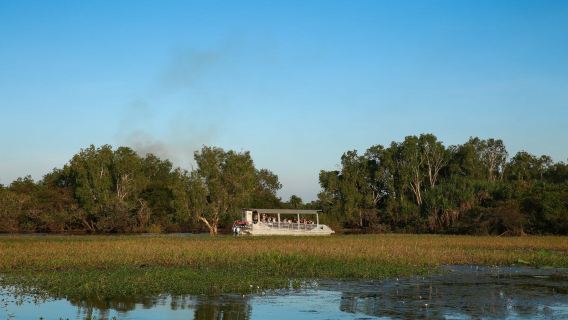 Yellow Water Cruises