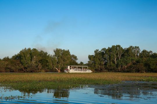 Yellow Water Cruises