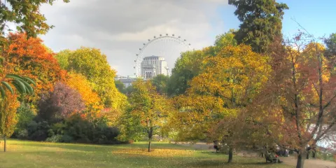 英國大英博物館+海德公園+大本鐘+自然史博物館一日遊
