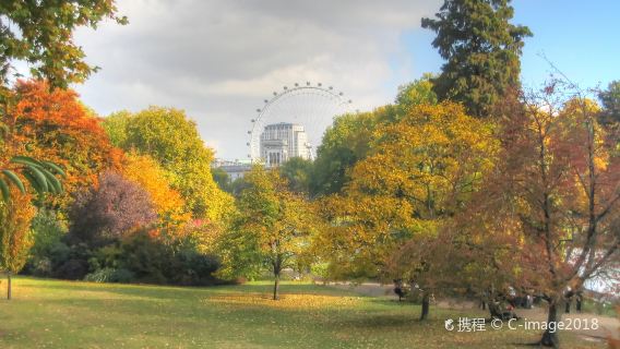British Museum, Hyde Park, Big Ben, and Natural History Museum one-day tour
