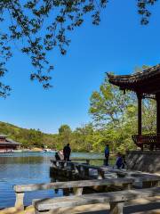 Shenxiu Lake