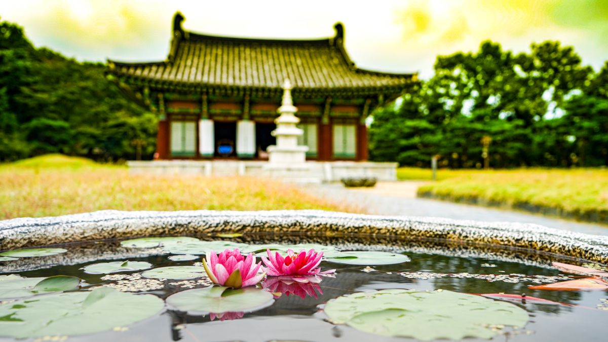 【2023清州自由行】清州旅遊攻略:熱門推薦清州景點門票、飯店與必吃美食 - Trip.com