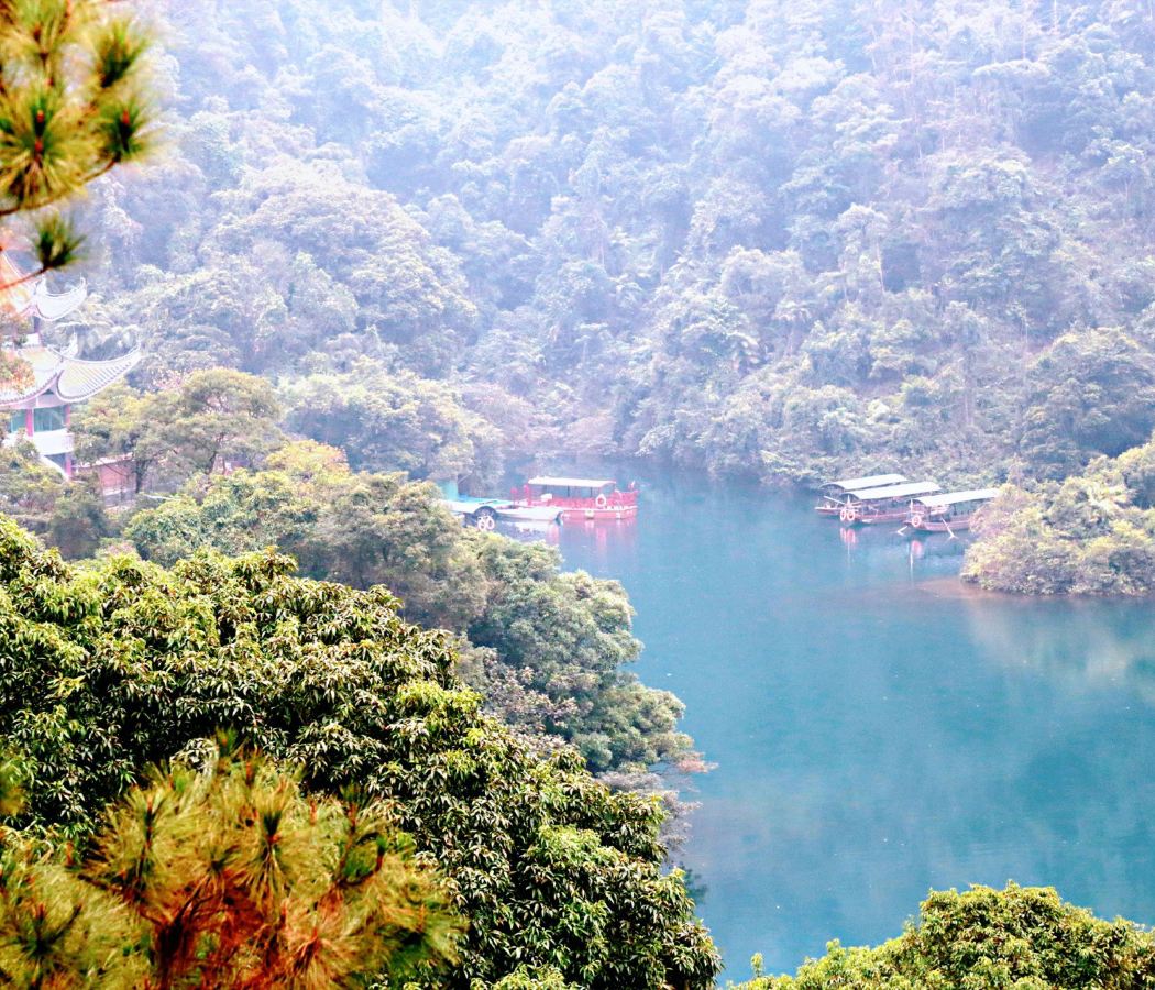 Dinghu Mountain Scenic Spot/Zhaoqingdong Railway Station