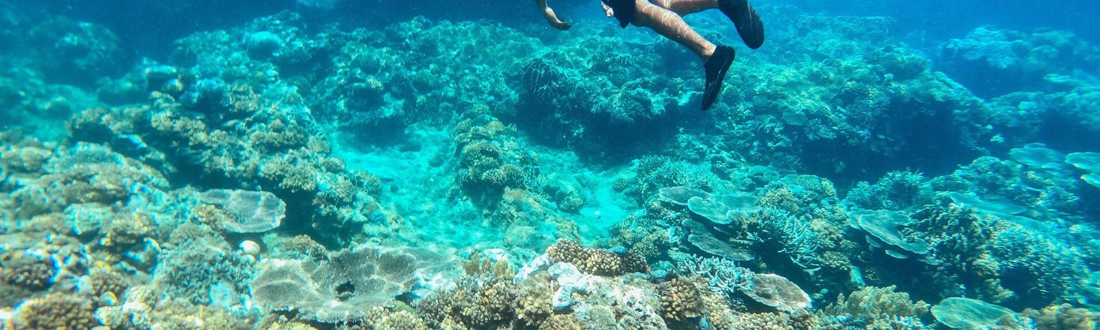 다우인데이 투어