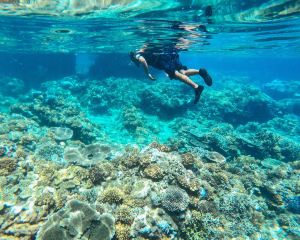 香港-道因 機票酒店 自由行