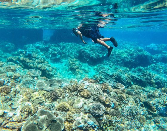道因 自由行套票