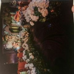 SPRING GARDEN User Photo