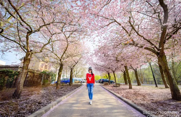 萊茵河畔的賓根