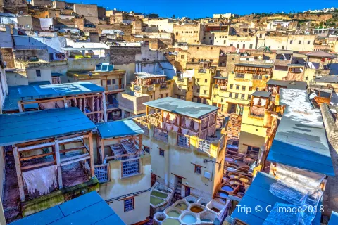 Fez Tannery Tour and Shopping