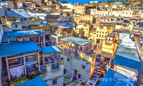 Fez Tannery Tour and Shopping