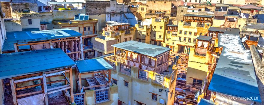 Fez Tannery Tour and Shopping