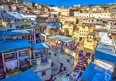 Fez Tannery Tour and Shopping