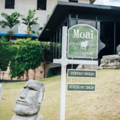 Moai Coffee張用戶圖片
