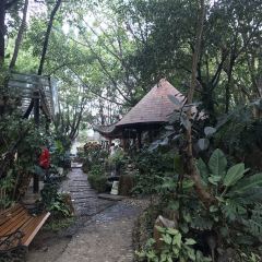 瑞麗清萊泰國餐廳張用戶圖片