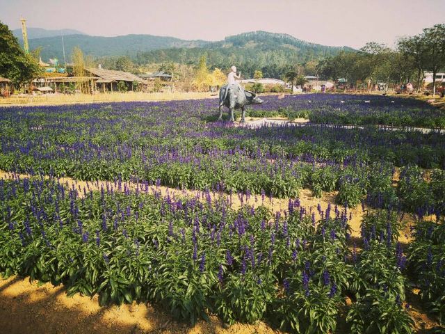 Gaoming Yingxiang Ecological Park