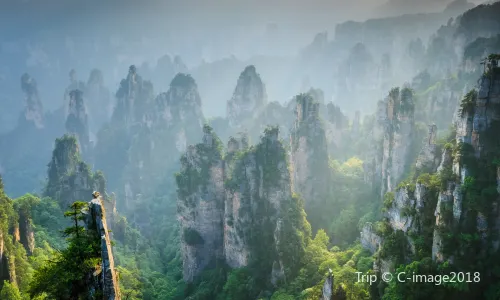 Zhangjiajie National Forest Park