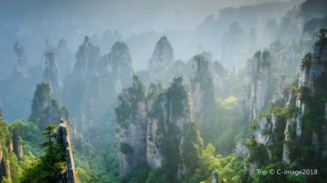 1_Zhangjiajie National Forest Park