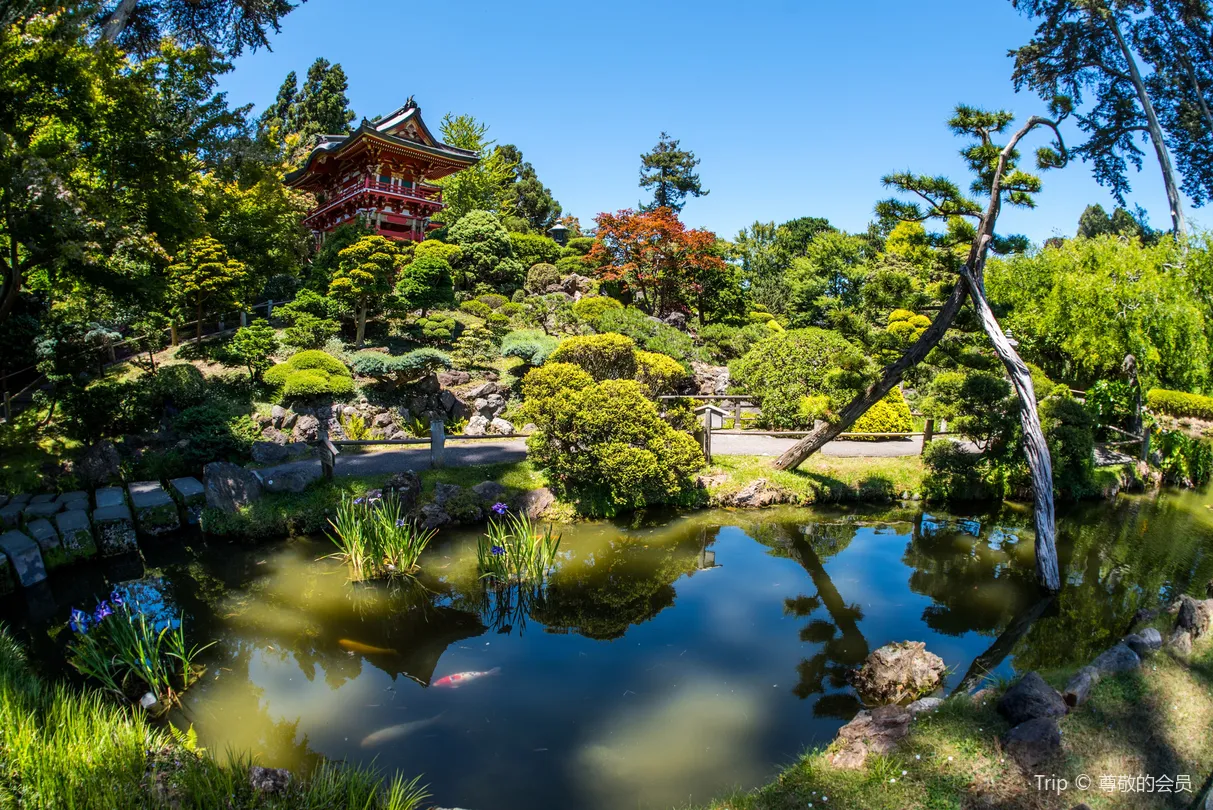 5_日本茶園