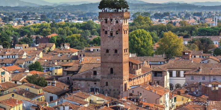 Guinigi Tower