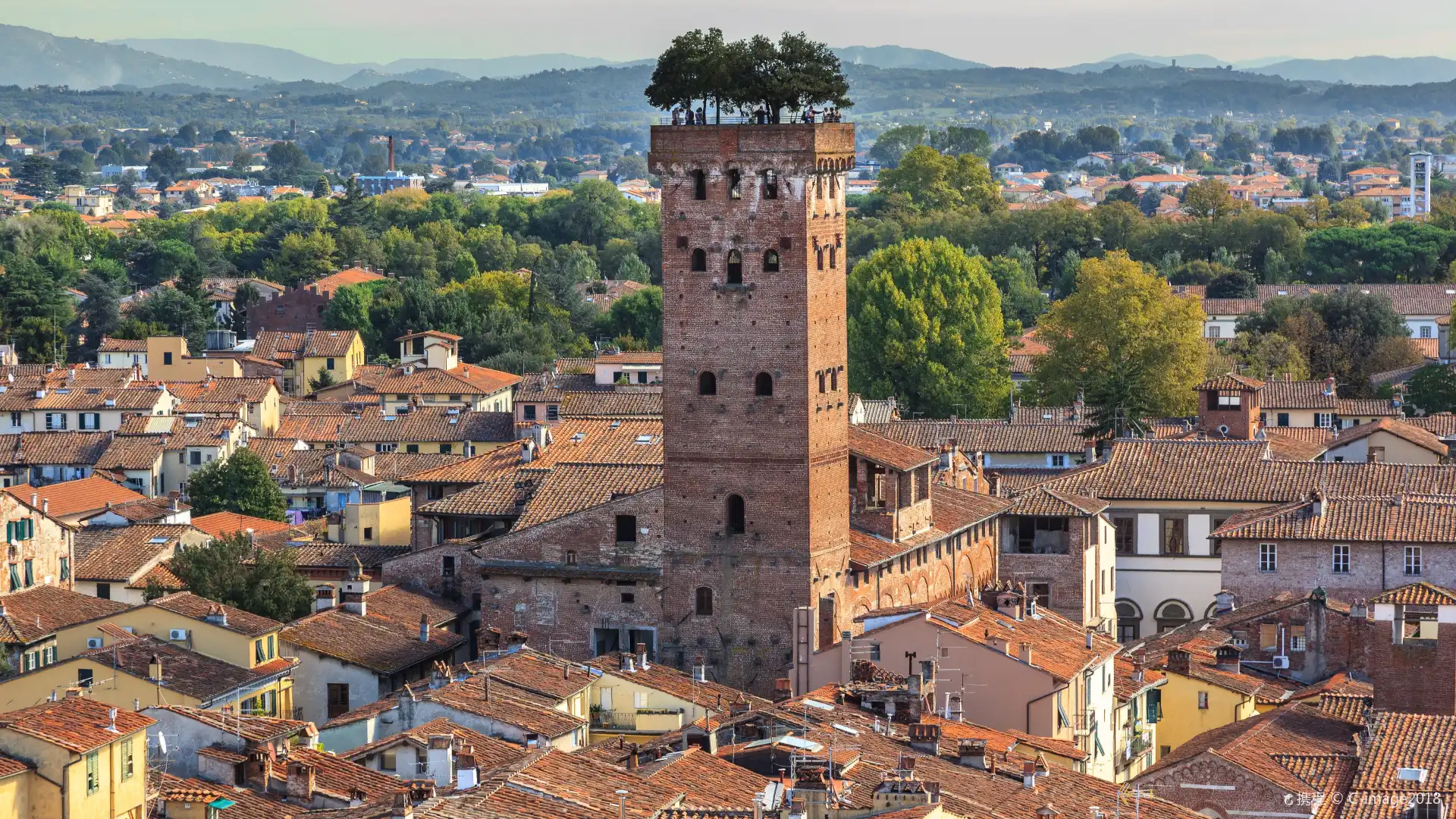 Hotels near Guinigi Tower