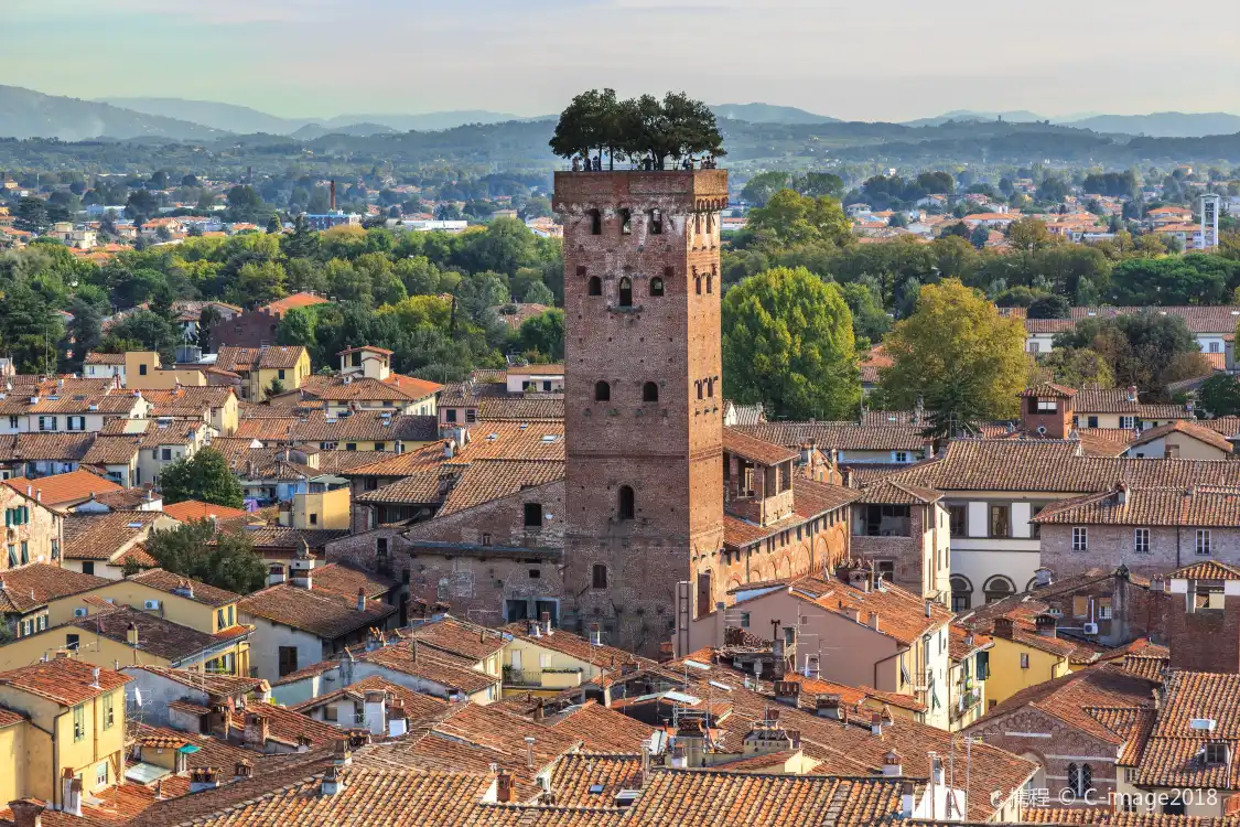 Hotels near Guinigi Tower